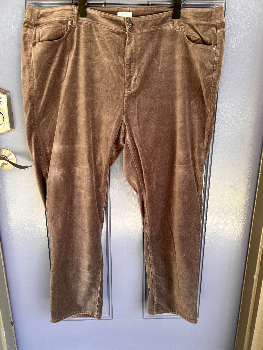 J Jill Cotton Velvet Pants, 24, NWOT